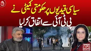 Govt panel agrees with PTI stance on political victimization | Aaj News