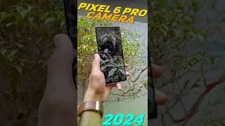 Google Pixel 6Pro In 2024🔥#shorts #pixel6pro #pixel6procamera