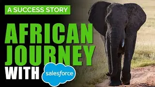 A Success Story : Empowering African Journeys with Salesforce Implementation | iTechCloud Solution