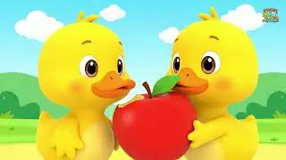 Portuguese | Pato | Duck | life story