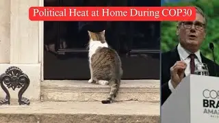 Larry, The Downing Street Cat - Political Heat at Home During COP30