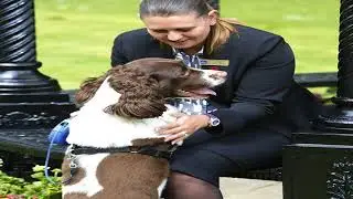 BEST WESTERN Mytton Fold Hotel & Golf Complex - Langho, Nr Blackburn - United Kingdom