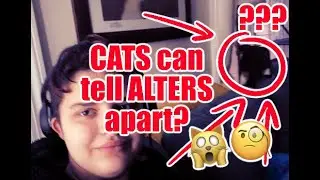 Pets Recognize Headmates! | Crow