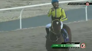 بث مباشر مضمار الشيخ صباح الناصر الصباح - الاجتماع (17)