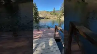 Serenity Ponds Bailey Fish