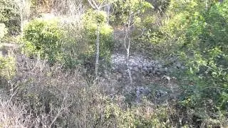 shell mounds