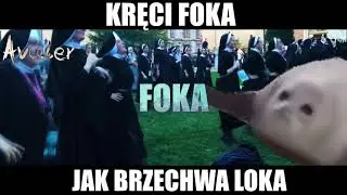 KRĘCI FOKA JAK BRZECHWA LOKA 🎶🔥😆