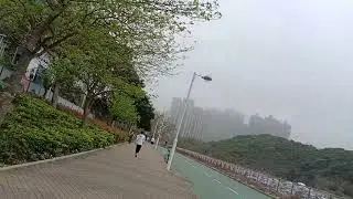 Spring Season in Hong Kong 😍😍😍