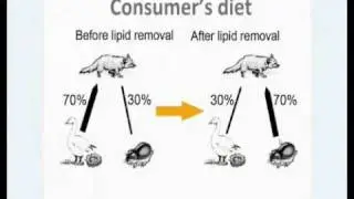 Lipid extraction and stable isotope ratios