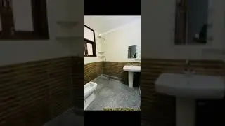 Beautiful PGs in Noida