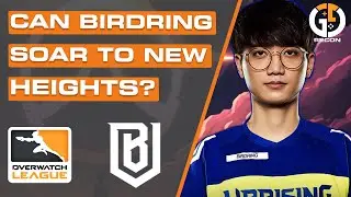 Can Birdring Fly Boston Uprising To New Overwatch League Heights? | Roots Of Overwatch