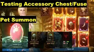 Darkness Rises Testing Accessory Chest/Fusion & Pet Summon