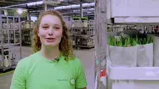 Werken bij Plantion - Distributie