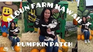 Приключения на тыквенной грядке в раю | Видеоблог Aloun Farms Hawaii 2025