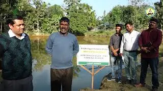 Integrated Duck Cum Fish Farming A sustainable approach for livelihood security by KVK Dhalai  2024