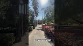 Walking Meditation | Flags & Hollenbeck Police Station (Los Angeles)