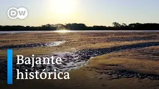 El Paraná, sin agua
