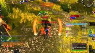 LvL 80 Warrior PvP 1