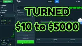 I turned $10 to $5000 Stake Dice Strategy