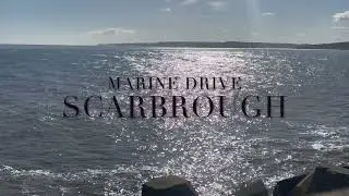Birding the East Yorkshire Coast