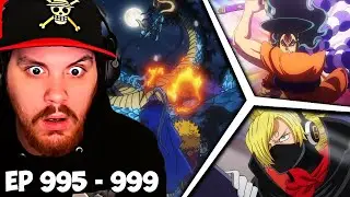 One Piece Episode 995, 996, 997, 998, 999 Reaction - THE TRUE BATTLE BEGINS