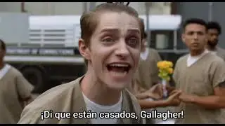 Gallavich | 