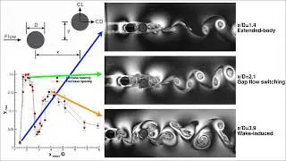 Flow-induced vibration of a downstream cylinder in a tandem pair