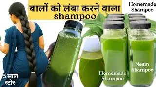 Homemade Ayurvedic Shampoo For Fast Hair Growth | Long Hair Kaise Kare