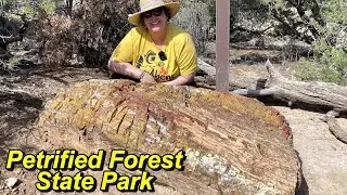 Escalante Petrified Forest State Park