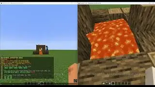 Cross server player/block simulation