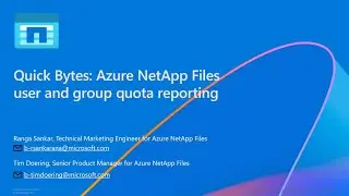 Quick Bytes: Azure NetApp Files user and group quota reporting