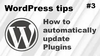 How to automatically update WordPress plugins