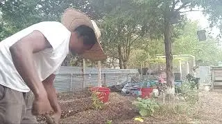 #digging #trenches for #backyardgarden #2023 for #fall #winter