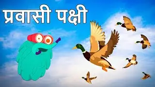 माइग्रेटरी बर्ड्स | प्रवासी पक्षी | Migratory Birds In Hindi | Dr. Binocs Show | Rajshri Kids