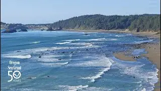 Oregon Sea Grant: 50 years of making a difference