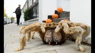 Monster Spider Halloween Prank in London