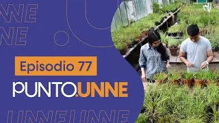 Punto UNNE - Episodio 77