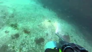 Cueva llena de centollo y n&eacute;coras r&iacute;as baixas Danny