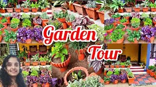 Sitout ഗാർഡൻ ഭംഗിയാക്കാം ഈസിയായി ഇനി ആർക്കും | gardening malayalam 