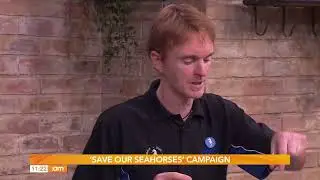 Kealan chats with Ireland AM about new ways to Save Our Seahorses