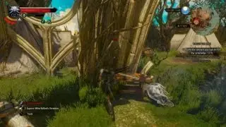 Palace ruins fight