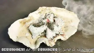 برج الاسد علي البخور 🤲 علاقات قوية وحظ عظيم 👌 أحذر من الشريك 👆لن تخاف من ⁉️ هتغير مكانك 🫸انفراجه قاد