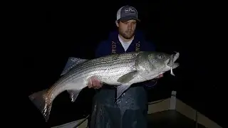 Fall Run Striper Fishing on the Elizabeth Islands