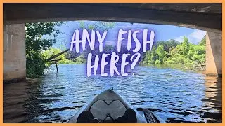 Lake Daylesford: Any Fish Here?