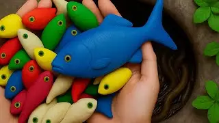 Looking for freshwater fish, slayer fish, koi fish, goldfish, betta fish, red shrimp and guppies,