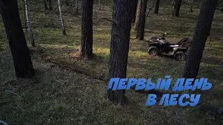 НАЧАЛО ПРОЕКТА 