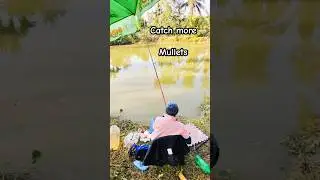 Mullet Fishing Techniques Explained: Catch More Mullet!