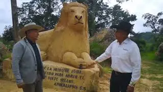 Lo que usted necesita