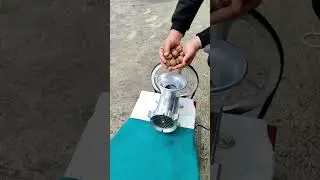 Walnut nuts at grinder at shredder machine at factory #shorts #shredded #recycle
