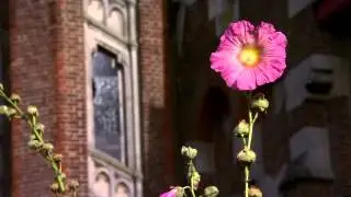 ABC: CHEESE SLICES 6 - FRENCH MONKS -TV PROGRAM